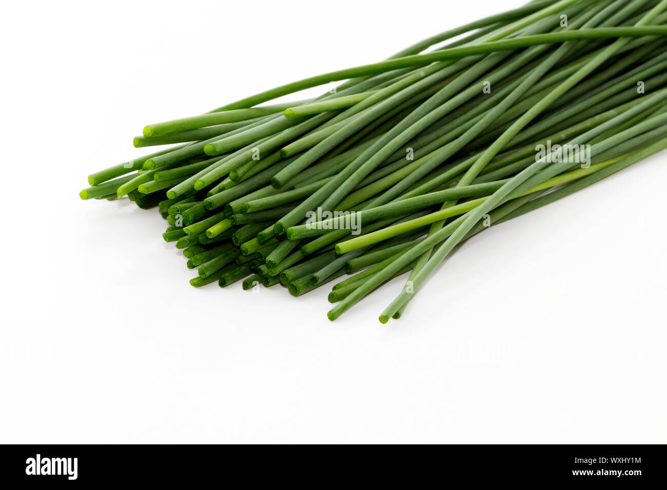 Chive Undergrround some cutted chive bottoms on white background Stock Photo - Alamy
