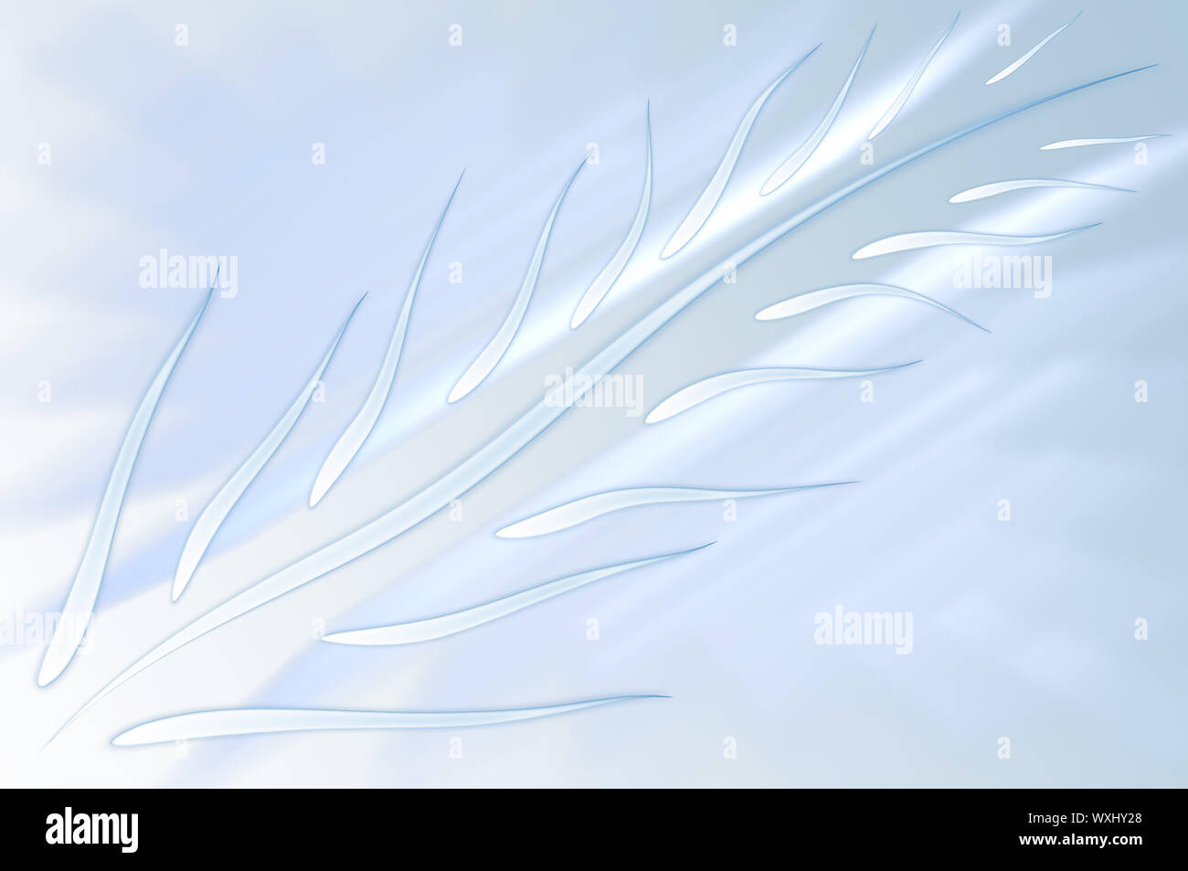 Light blue abstract background with conventionalized feather Stock Photo