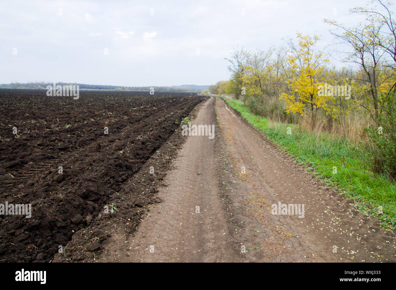 rural road at autumn Stock Photo - Alamy
