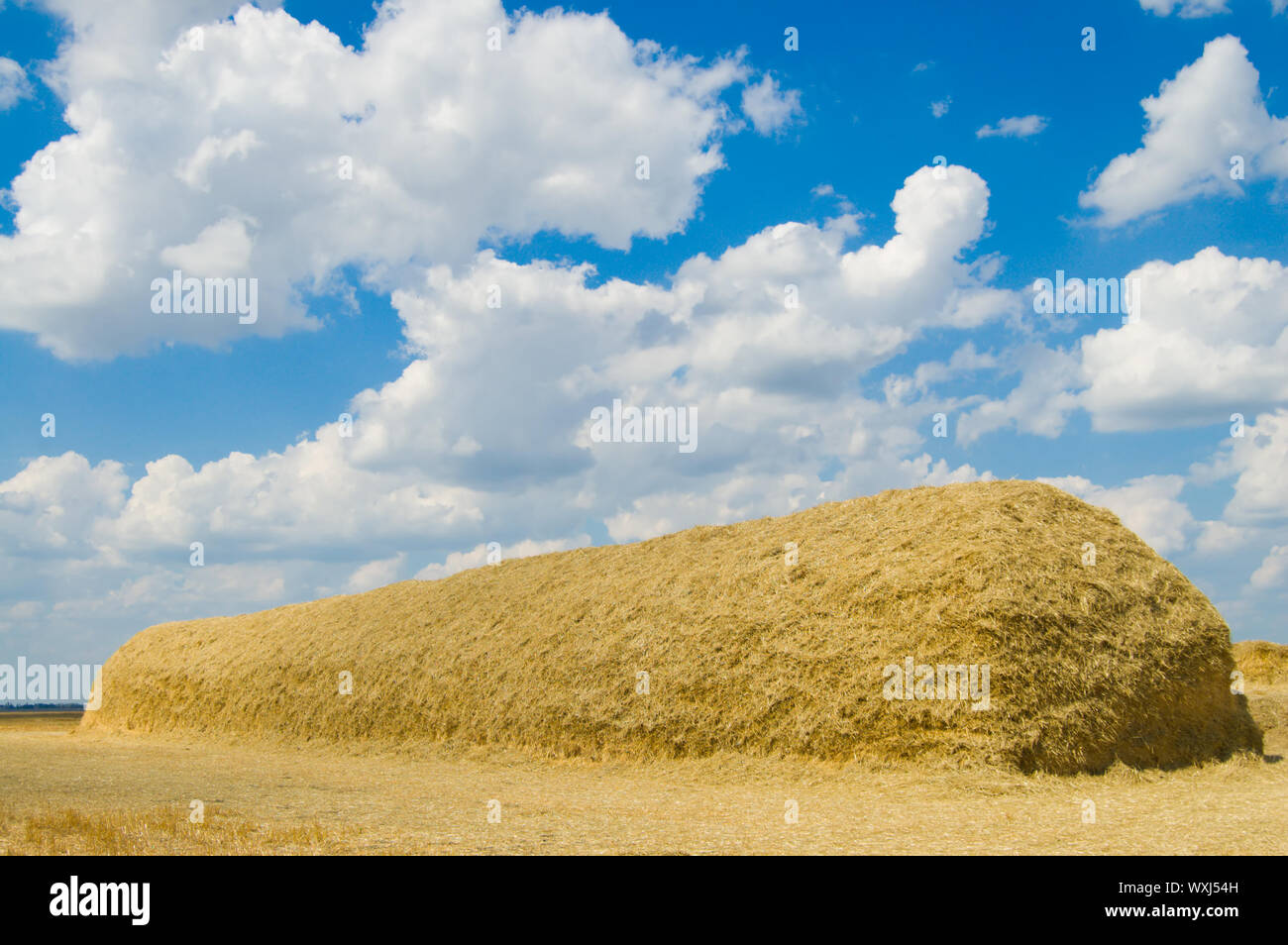 large stack of straw on a background blue sky with clouds Stock Photo ...