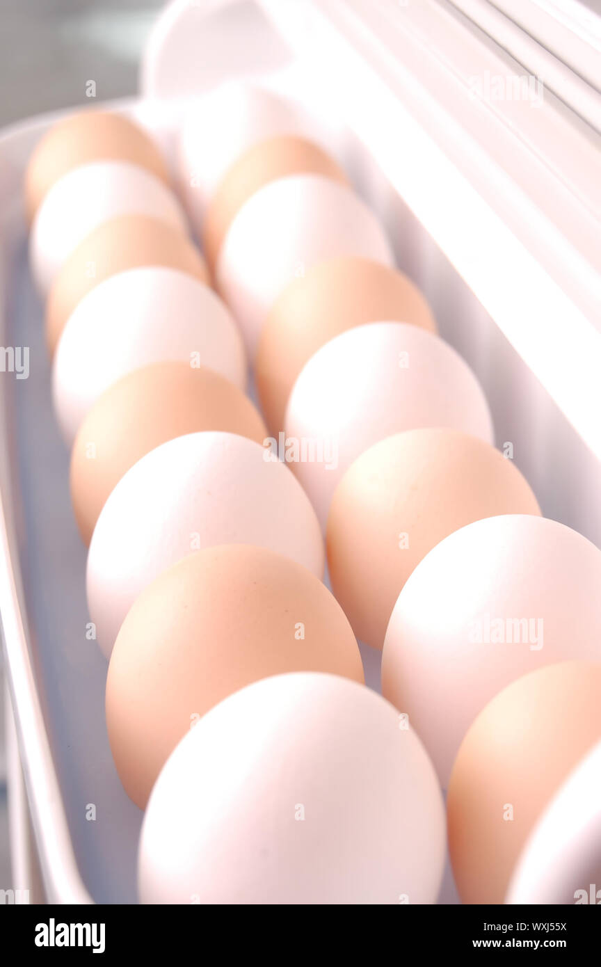 two rows of eggs in refrigerator Stock Photo