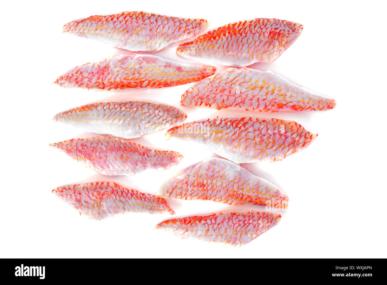 Rouget barbet fish hi-res stock photography and images - Alamy