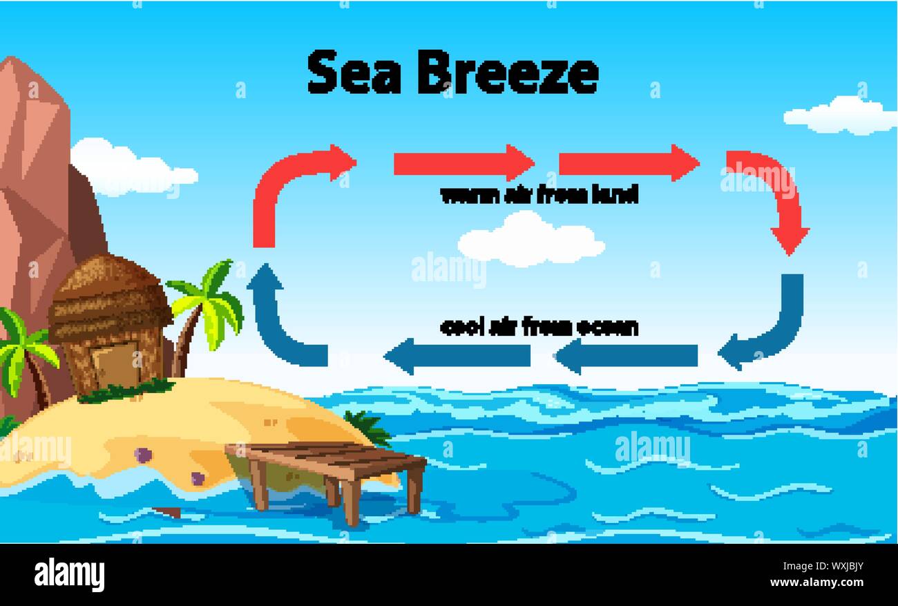 Land breeze sea breeze Stock Vector Images - Alamy