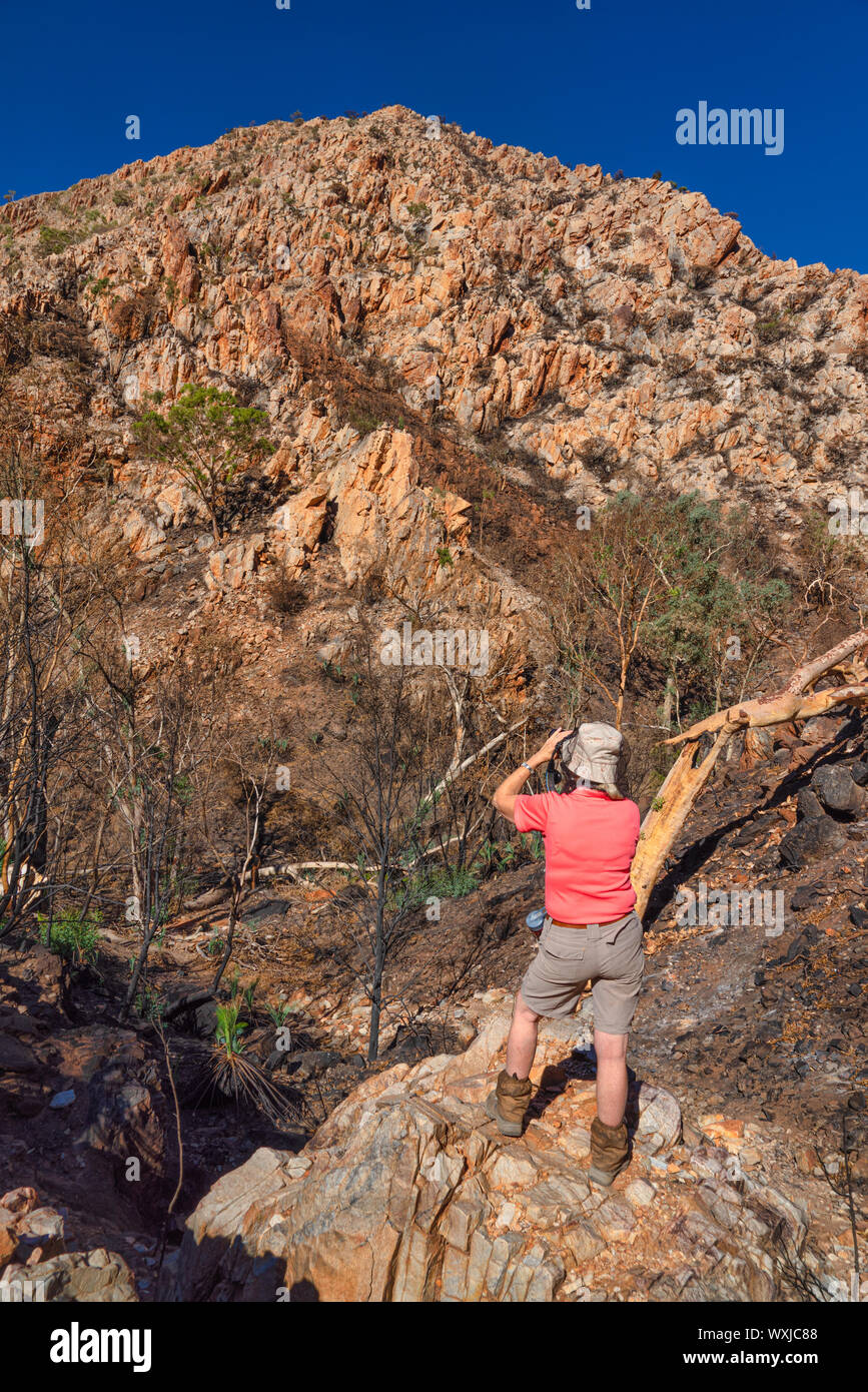 Woman taking a photograph near Standley Chasm, West MacDonnell National Park, Northern Territory, Australia Stock Photo