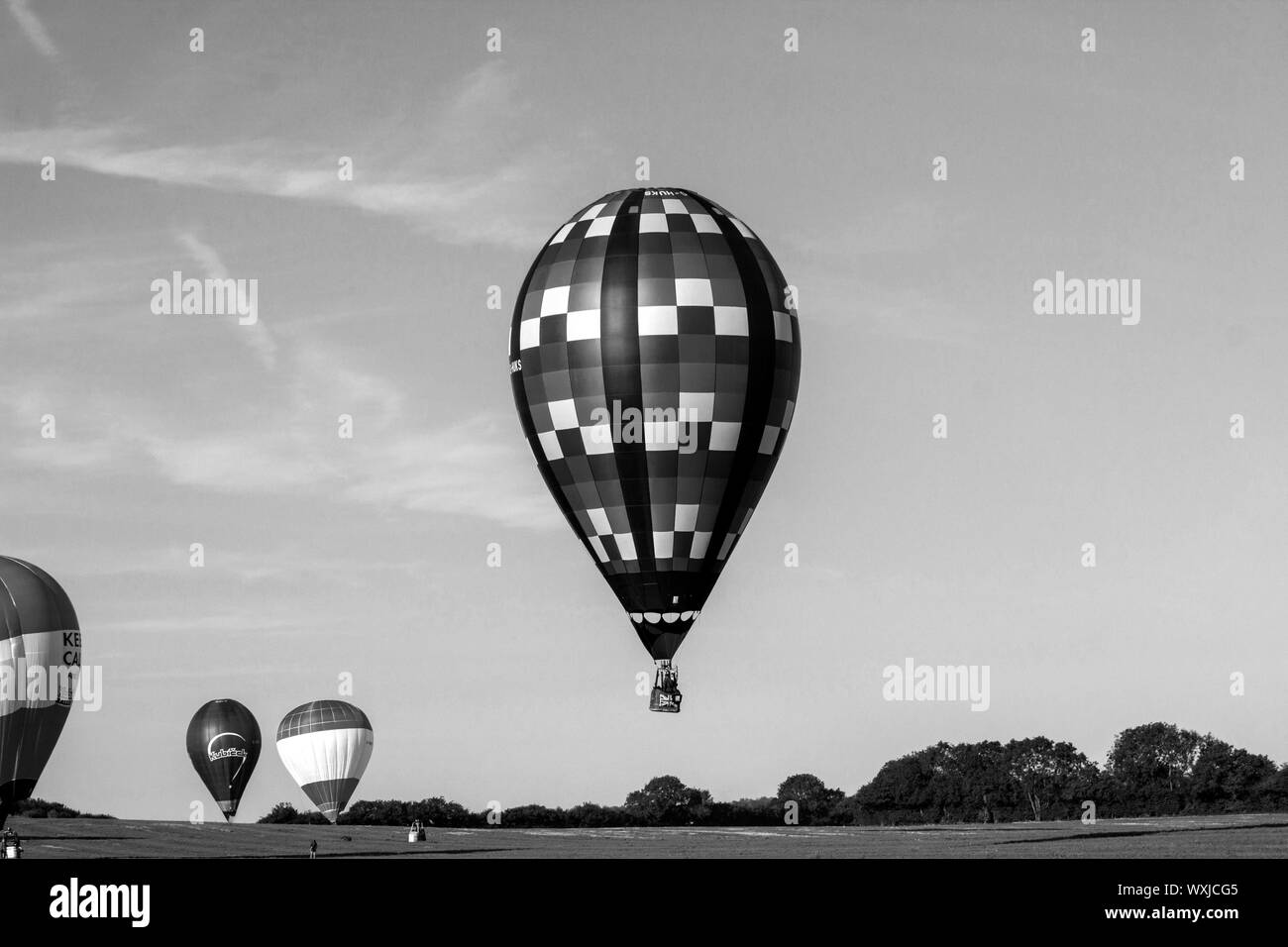 A tear shaped hot air balloon landing, the a wonky treeline behind. Black and white. An image of feeling and movement Stock Photo