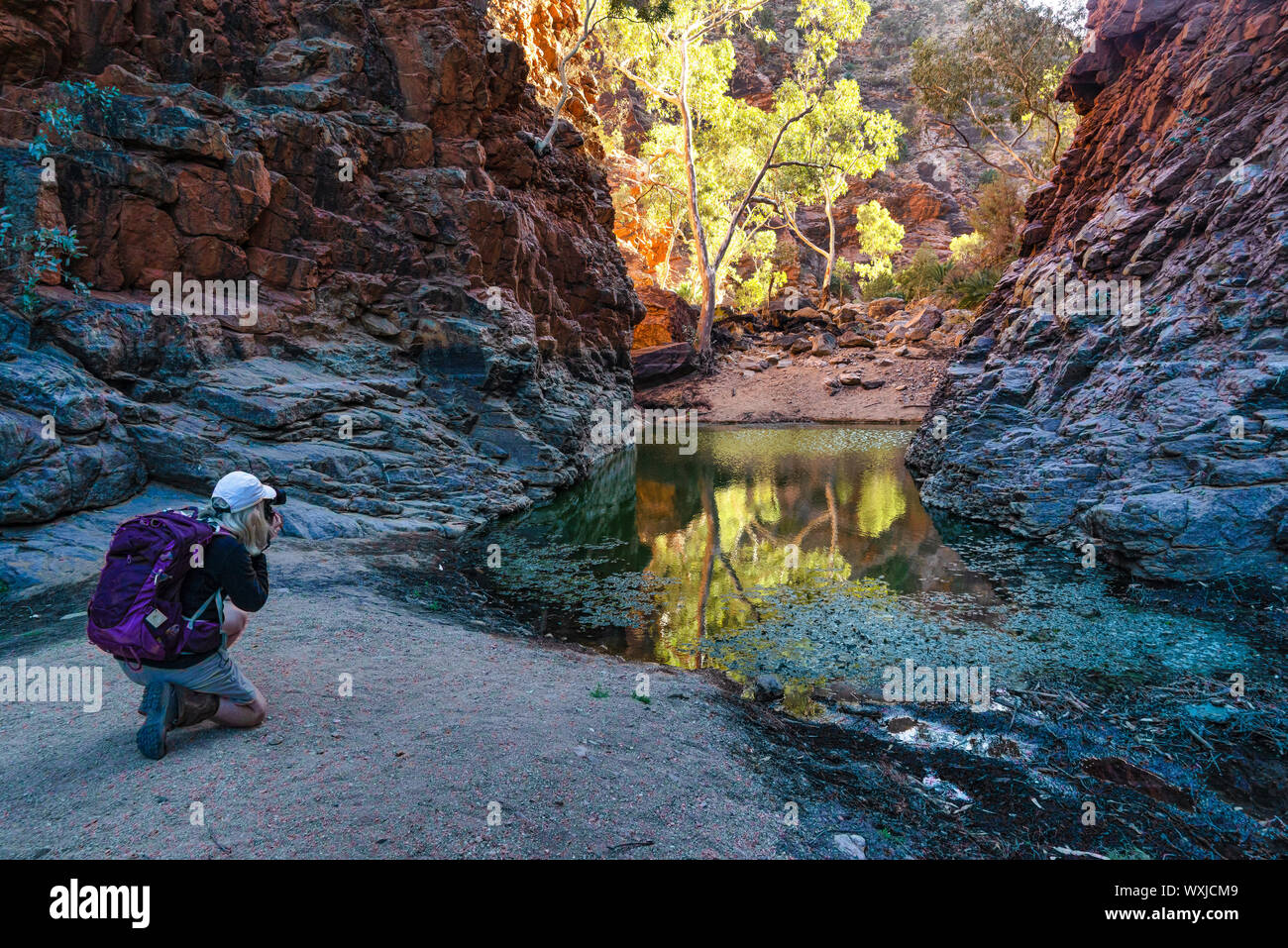 Woman taking a photo at Serpentine Gorge, West MacDonnell National Park, Northern Territory, Australia Stock Photo