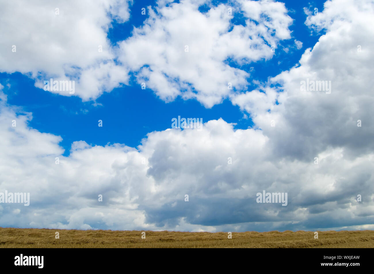 view of rural locality with low clouds in the background Stock Photo