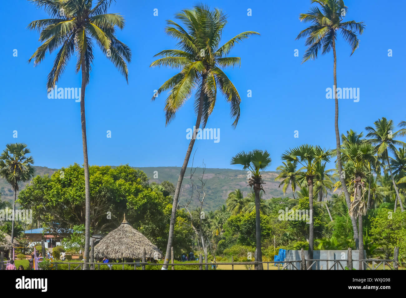 Yarada Beach, Vishakhapatnam, Andhra Pradesh, India December 2018 - Coconut palm trees against blue sky and staw hut on a tropical island. Its a popul Stock Photo