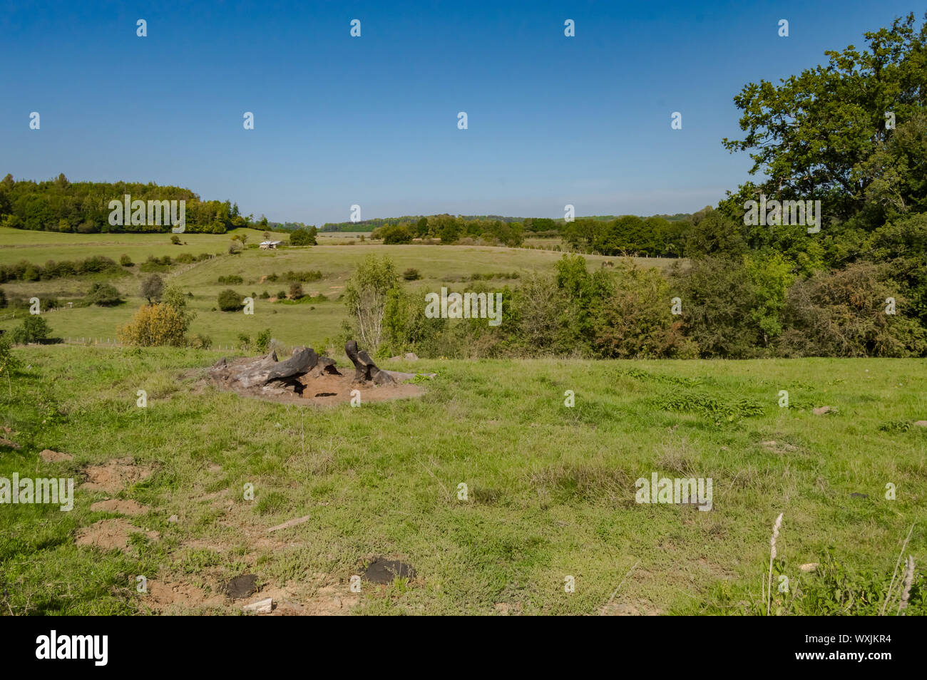 View of a hill in a meadow of the gaume in Meix in front of Virton near Virton in Belgium Stock Photo
