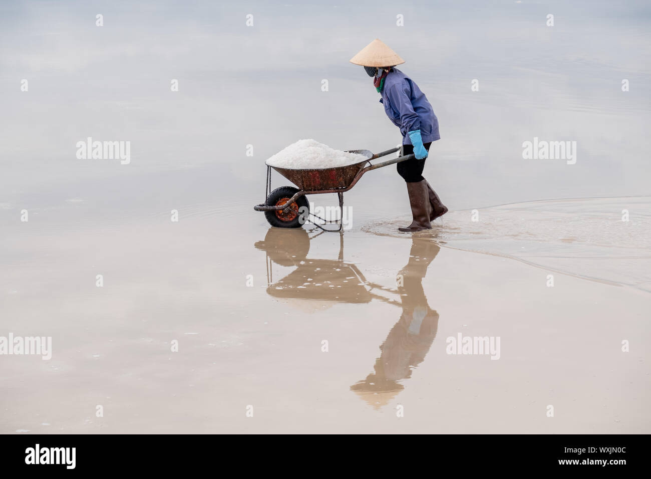 Salt farmer pushing a wheelbarrow filled with salt, Nha Trang, Vietnam Stock Photo