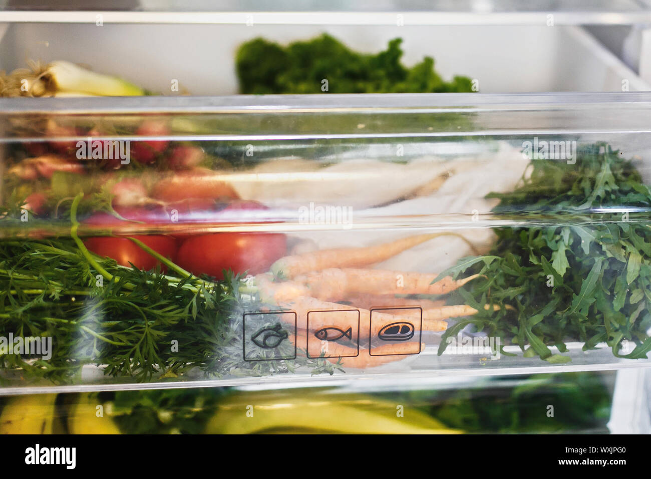 Fridge food waste hires stock photography and images Alamy