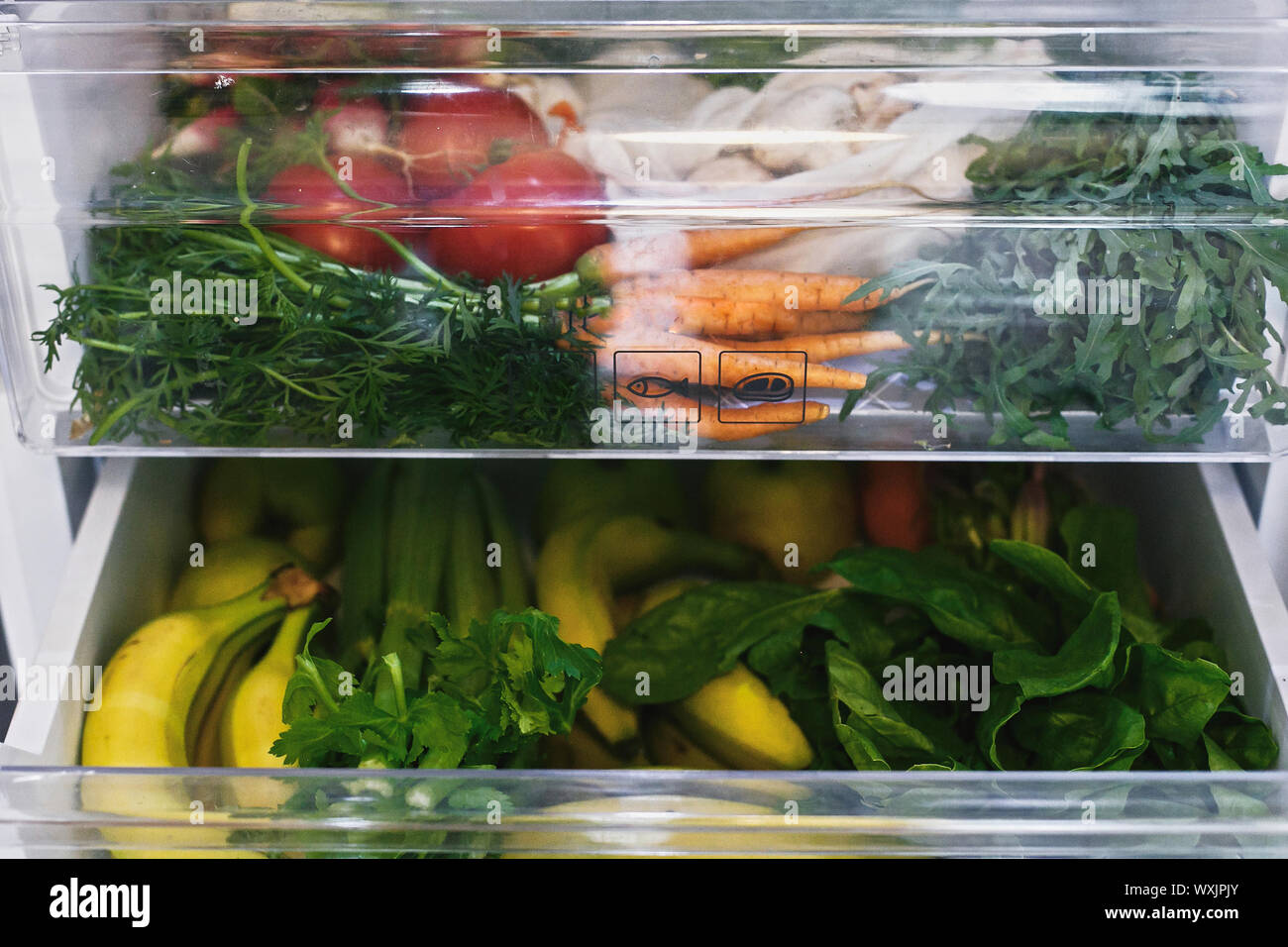 Zero waste grocery in fridge. Fresh vegetables in opened drawer in