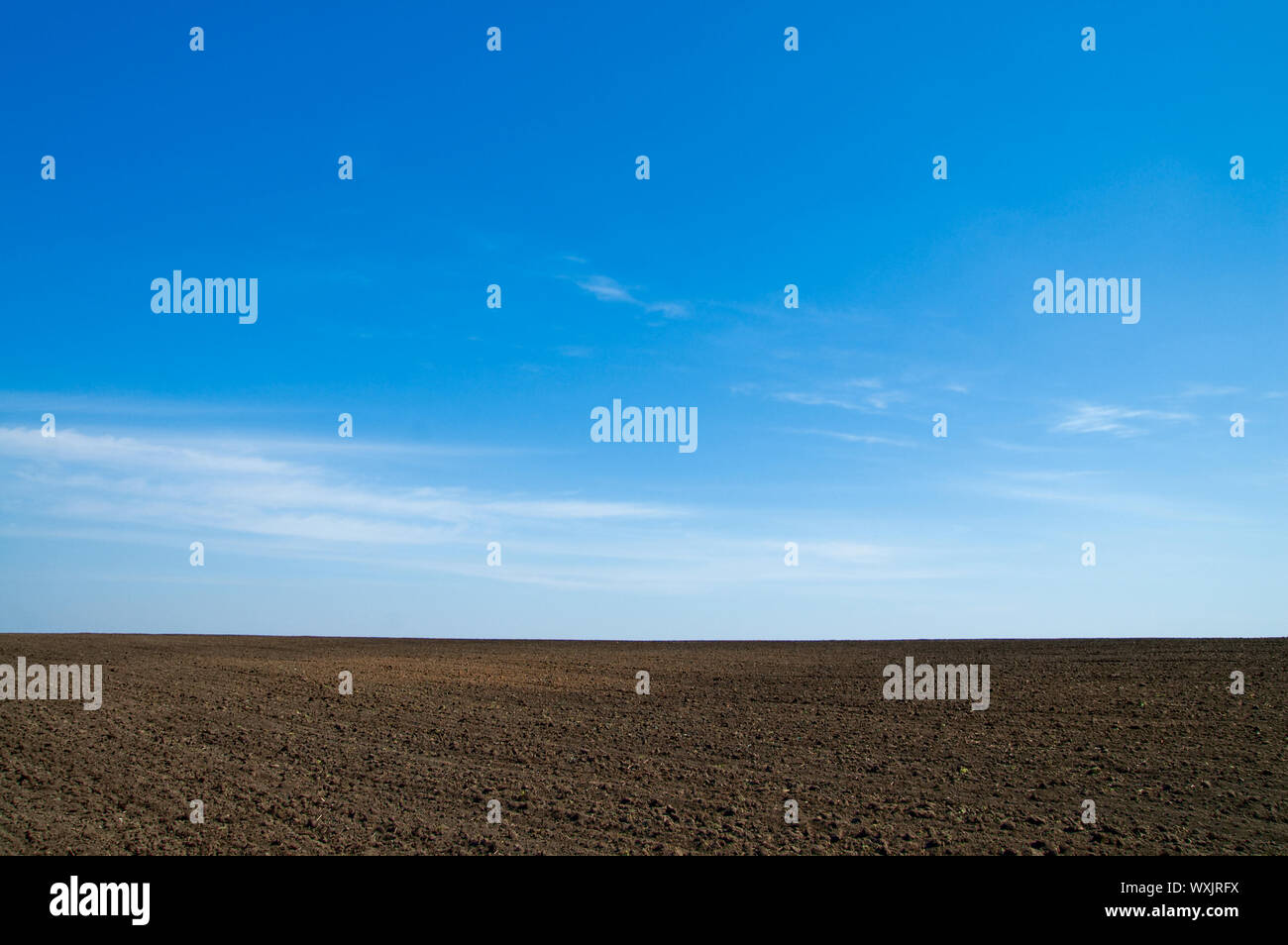 black field after harvesting under blue sky Stock Photo - Alamy