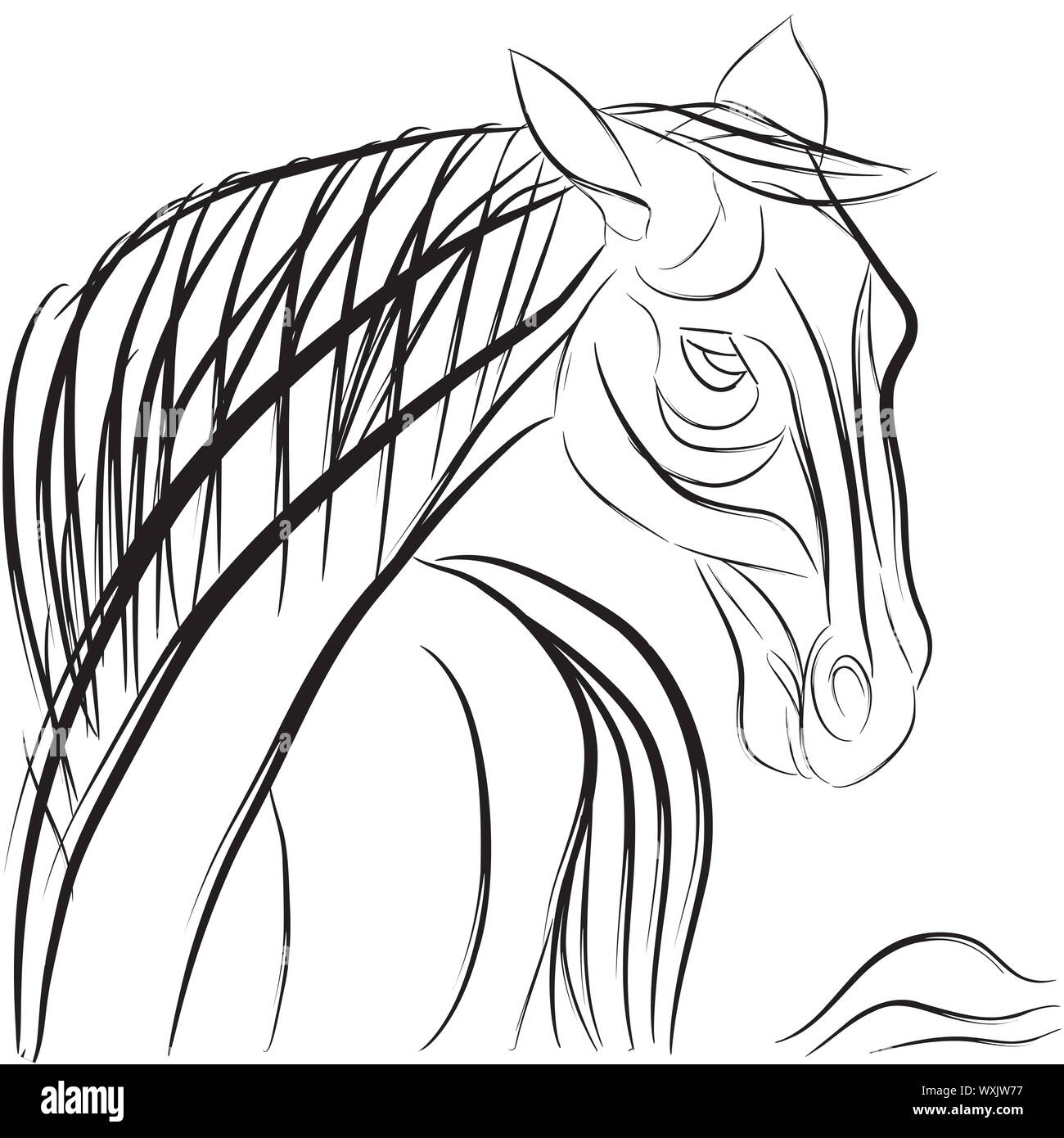 Arabian horse Pencil drawing by Josip Barać | Artfinder