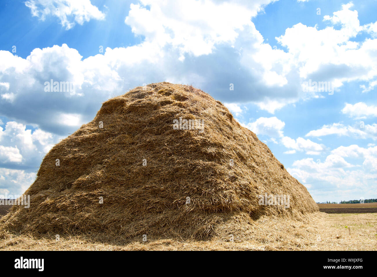 stack of straw on a background blue sky with clouds Stock Photo - Alamy