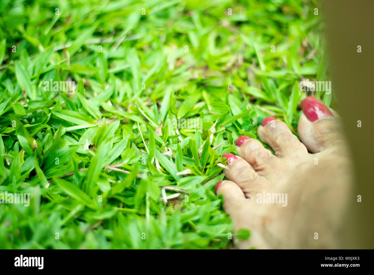 Woman Feet Walking on Fresh Green Grass Stock Photo - Alamy
