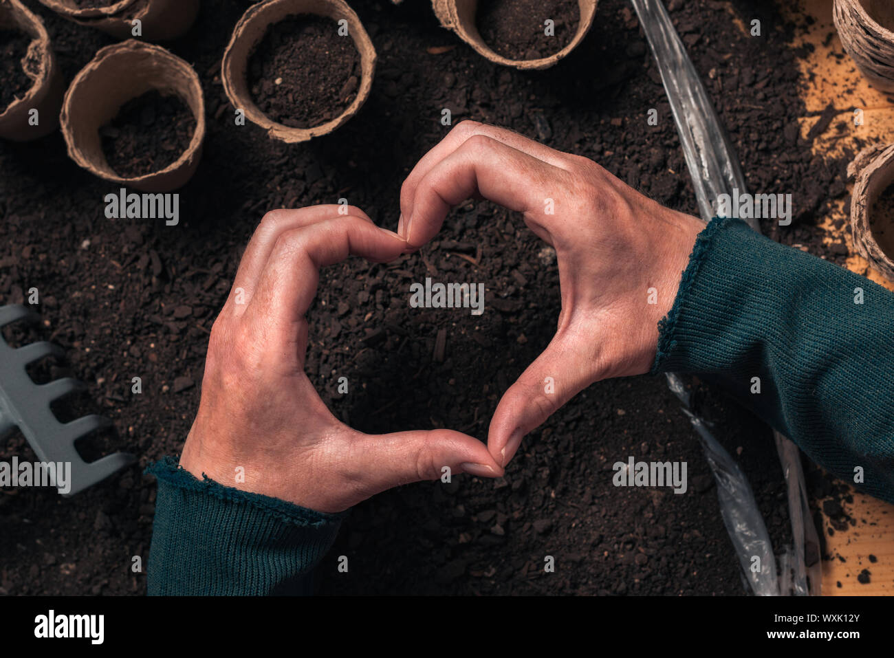 Gardener hand heart gesture over the table with organic gardening and farming equipment, close up of female hands Stock Photo