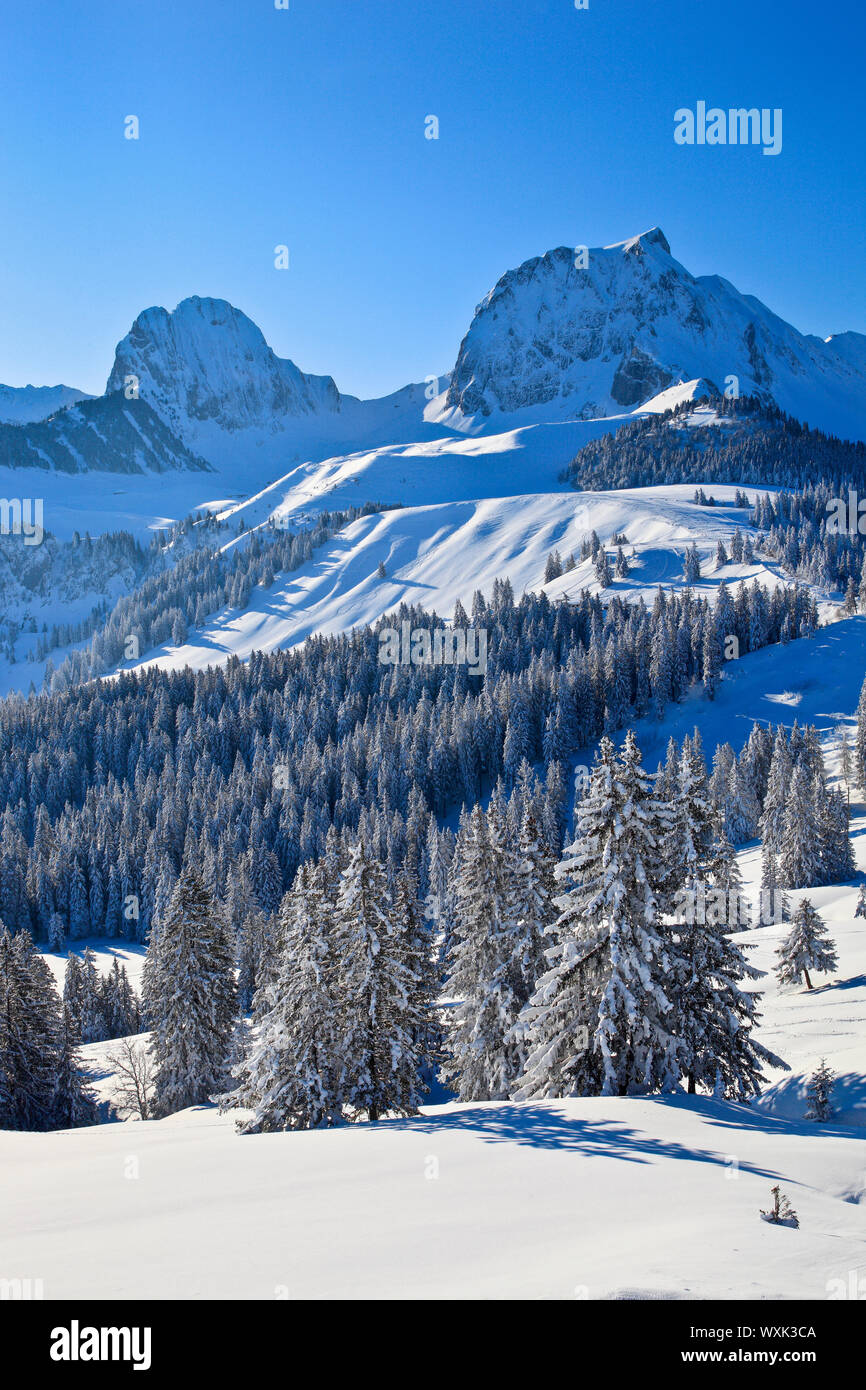 Gantrisch hi-res stock photography and images - Alamy