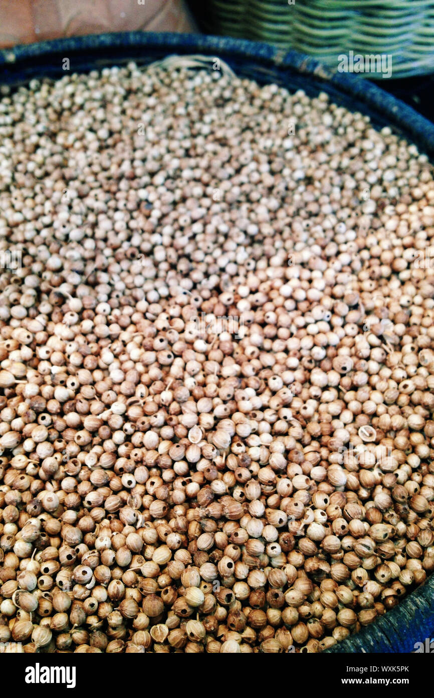 Asian seed hires stock photography and images Alamy