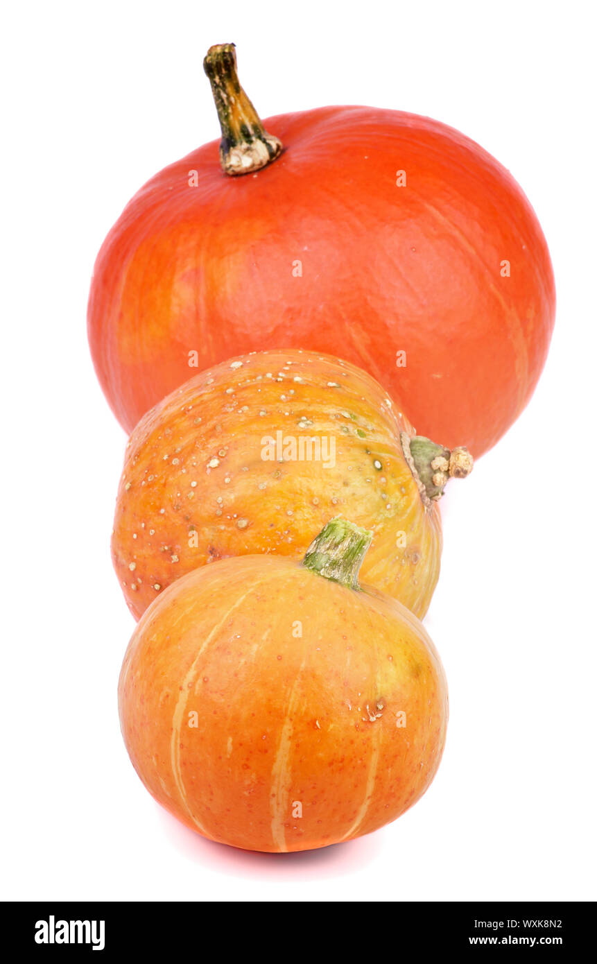 Three Raw Ripe Pumpkins In a Row isolated on white background Stock ...