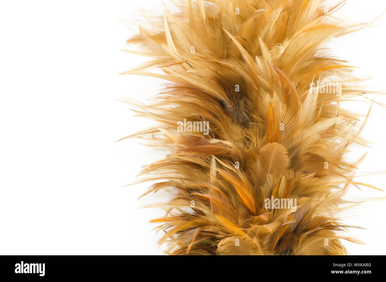 Feather broom isolated on white background Stock Photo Alamy