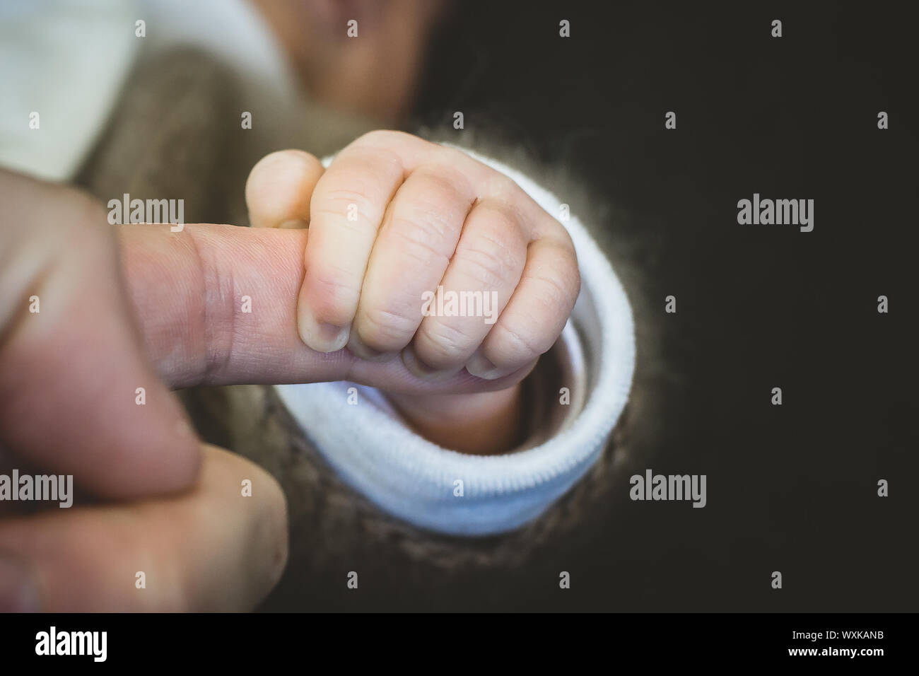 Hand holding up index finger hi-res stock photography and images - Alamy