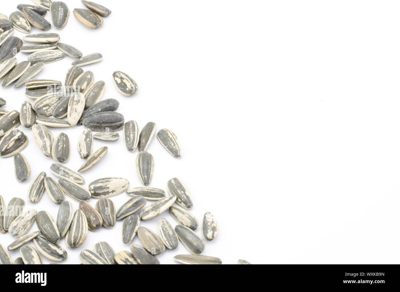 sunflower seeds isolated on white background Stock Photo - Alamy