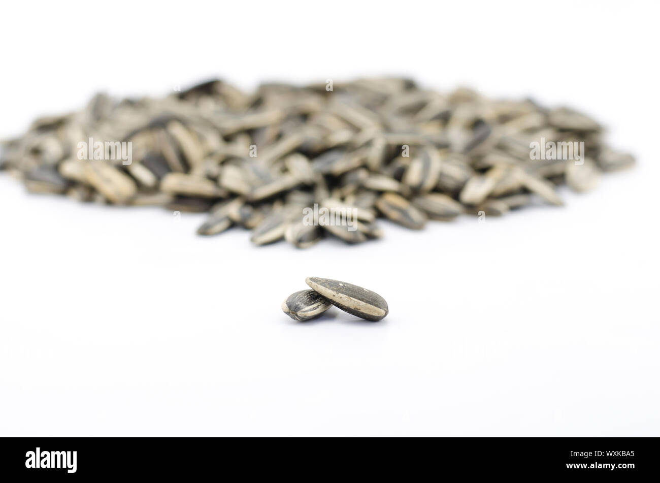sunflower seeds isolated on white background Stock Photo - Alamy