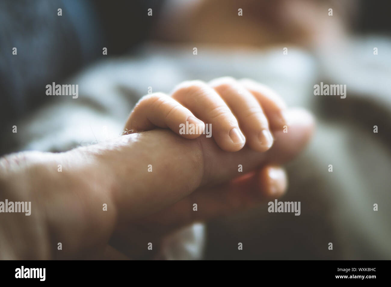 Hand holding up index finger hi-res stock photography and images - Alamy
