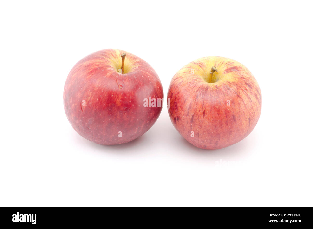 Single Two Apples two apples isolated n white background Stock Photo - Alamy