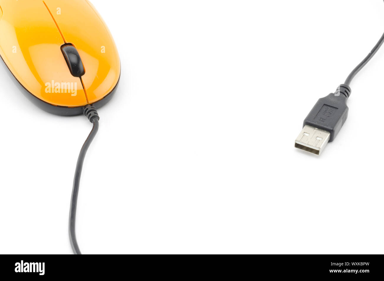 orange mouse isolated on white background Stock Photo Alamy