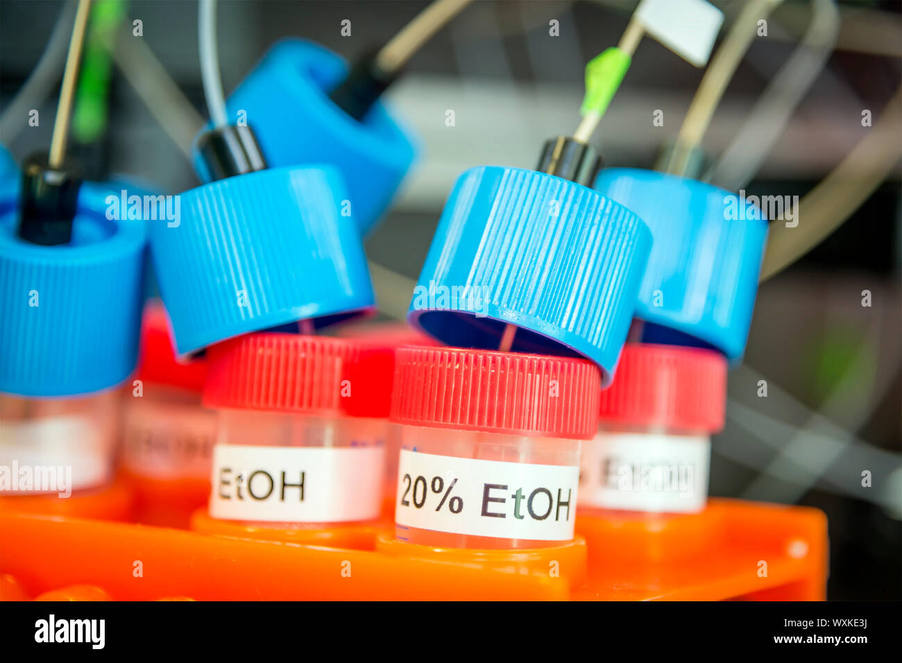 Tubes with ethanol in a chemical lab Stock Photo Alamy
