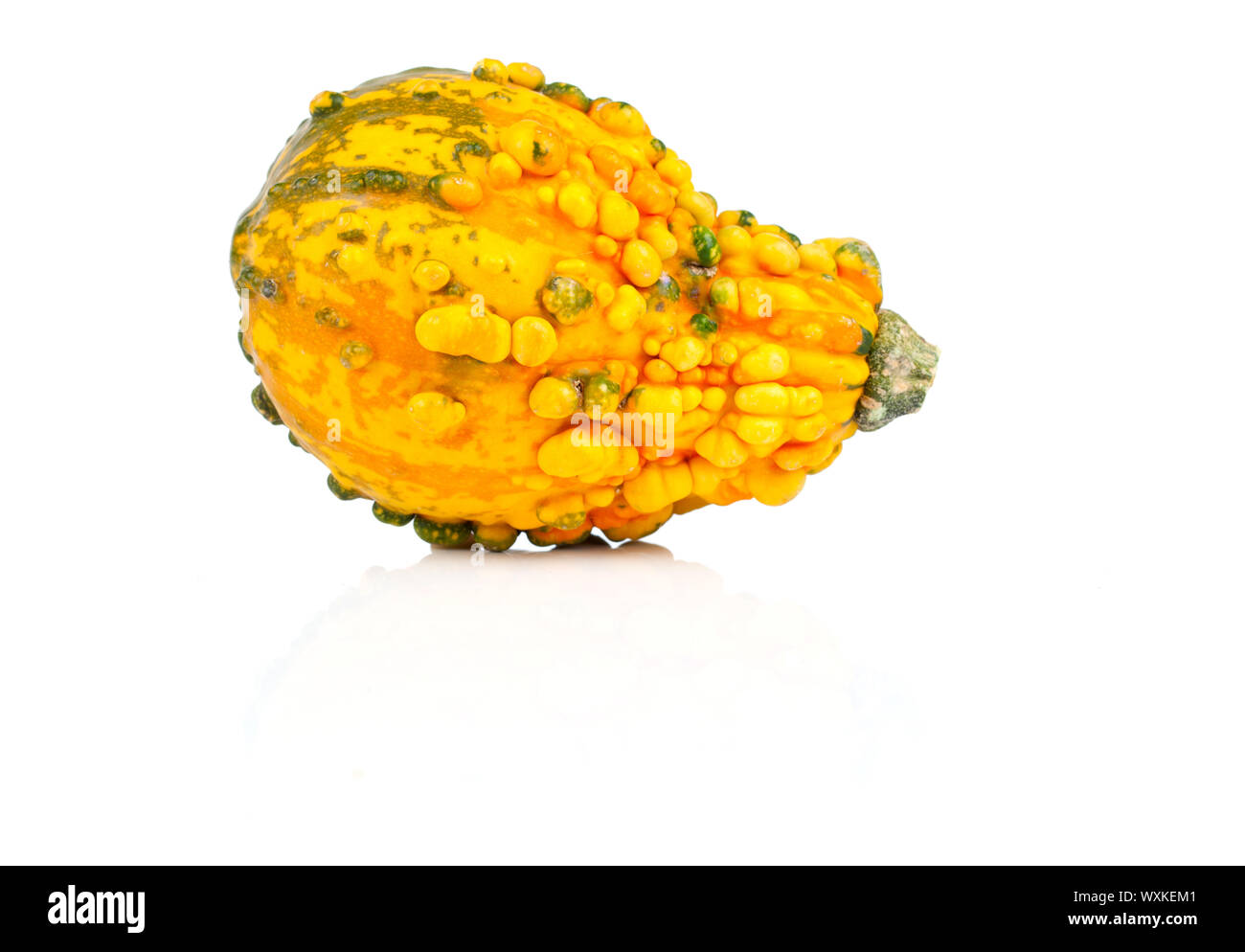 mini pumpkin isolated on white background Stock Photo - Alamy