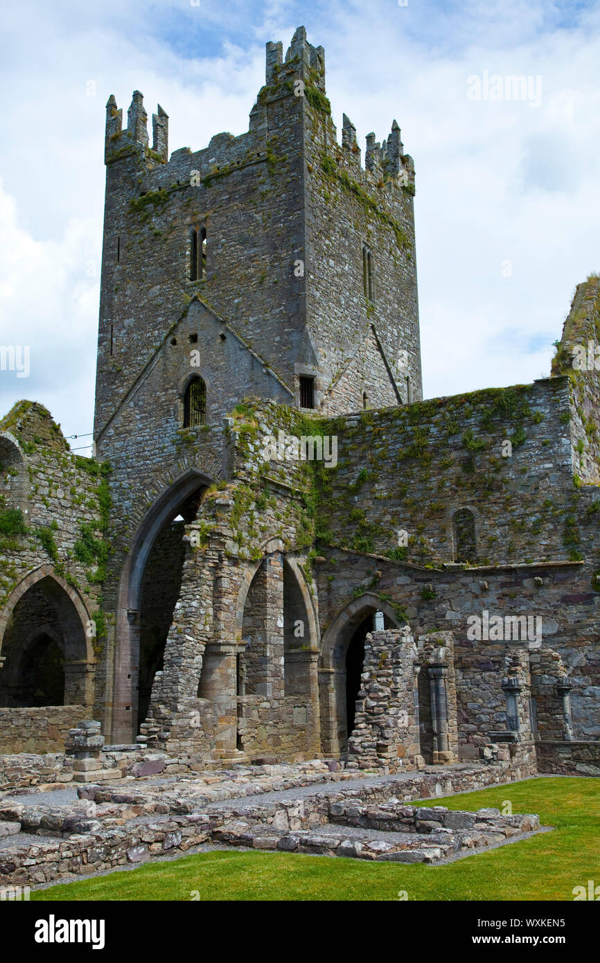 Abadía de Jerpoint, Thomastown, Condado de Kilkenny, Irlanda Stock Photo