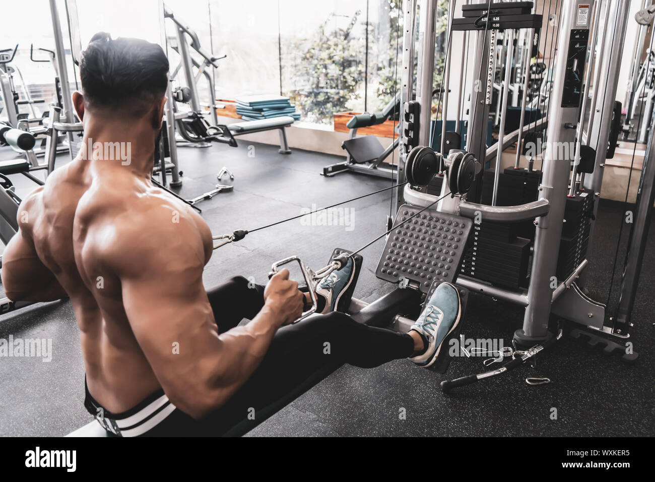 Athlete makes low cable pulley row seated in gym. Close back view Stock  Photo - Alamy