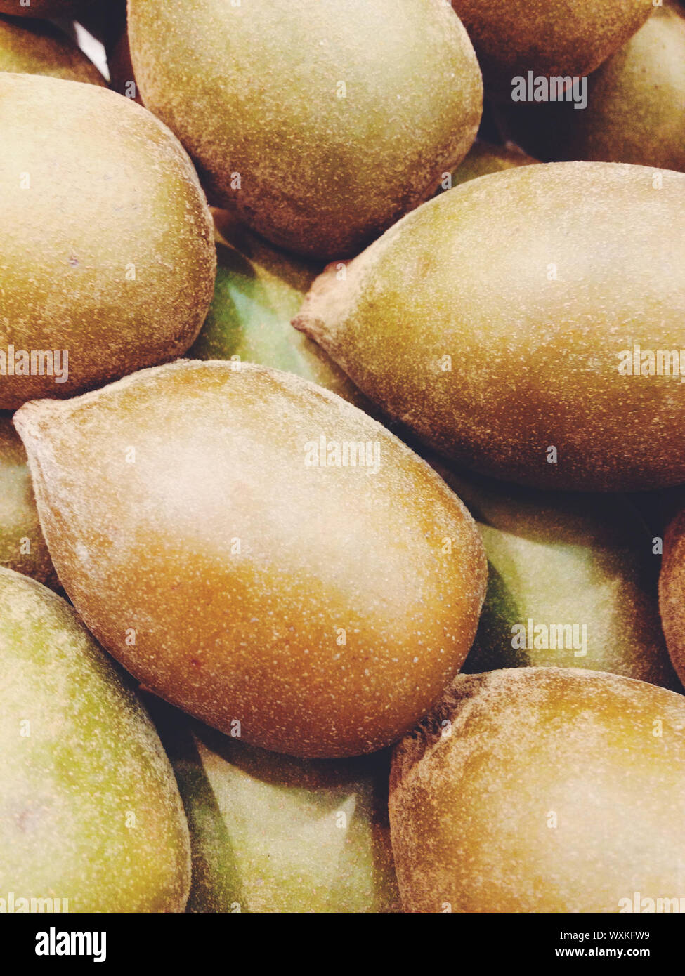 Hairy kiwi hi-res stock photography and images - Alamy