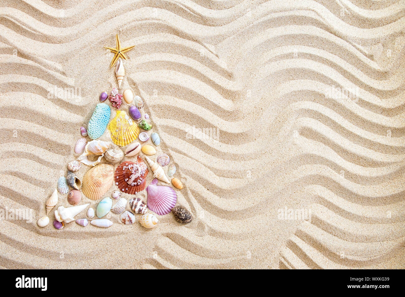 Christmas tree  made from shells and corals on beach sand, flat lay Stock Photo