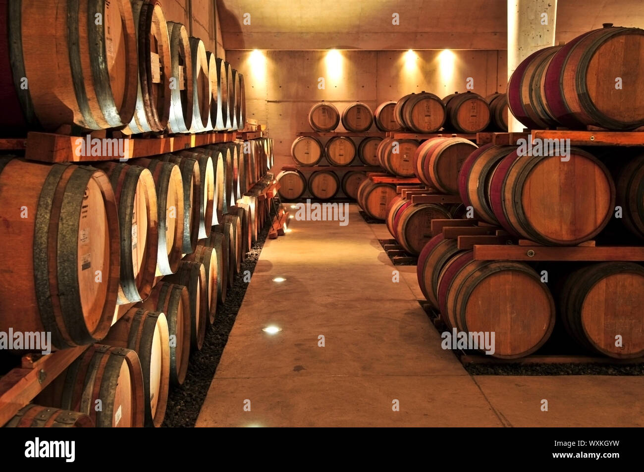 Stacked oak wine barrels in winery cellar Stock Photo Alamy