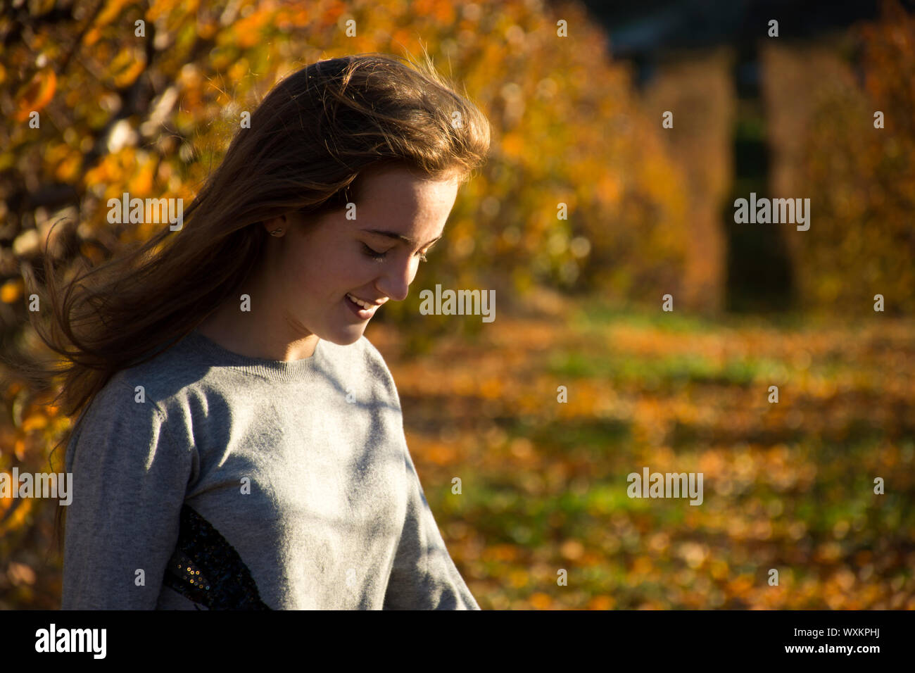 Beautiful young woman red-haired posing in an autumn field. Trees with oranges and golden leaves. Sunny and day. Stock Photo