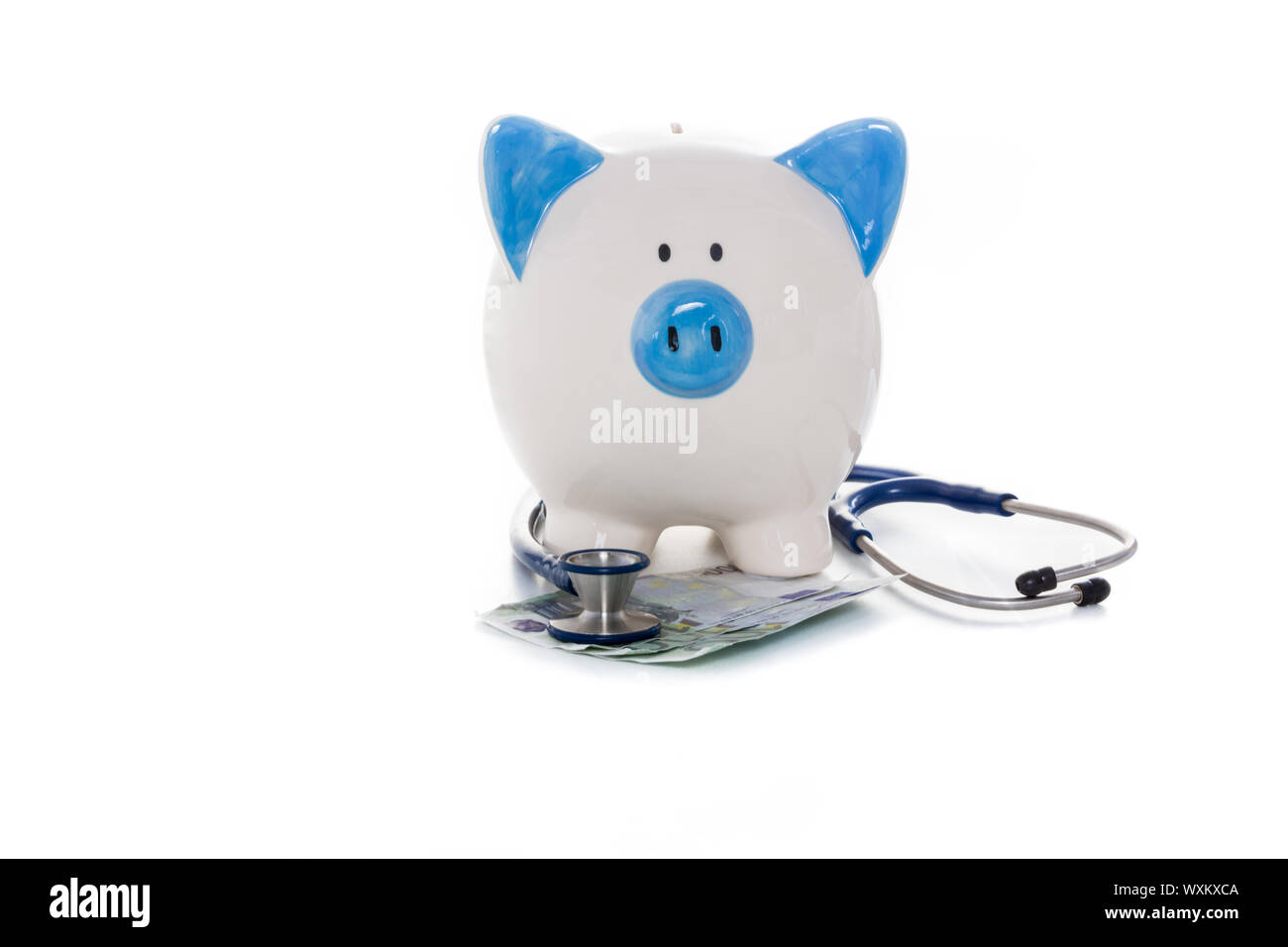 Hand Painted Blue And White Piggy Bank Sitting On Euro Notes With