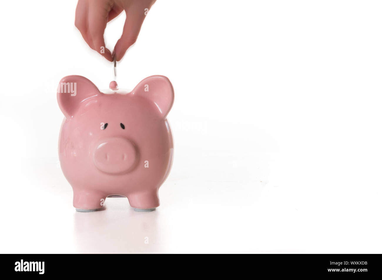 Hand putting coin into piggy bank with copy space on white background ...