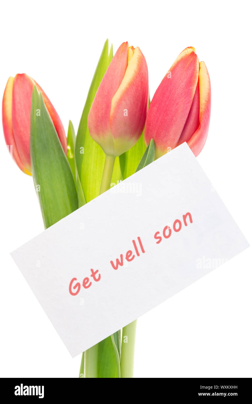 Pink and yellow tulips with get well soon greeting on white background ...
