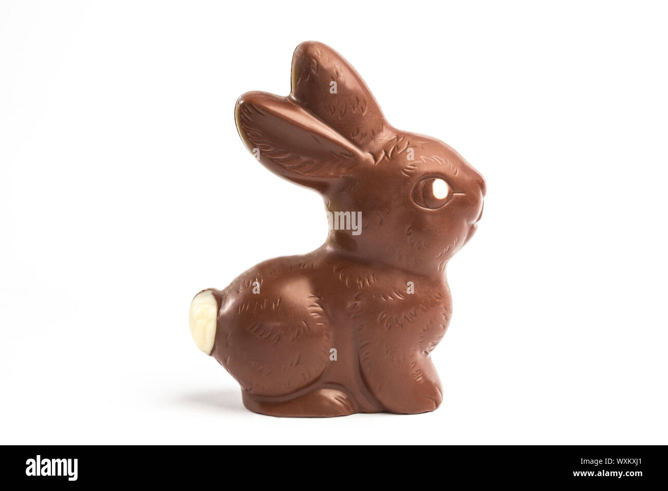 Chocolate bunny on white background Stock Photo - Alamy