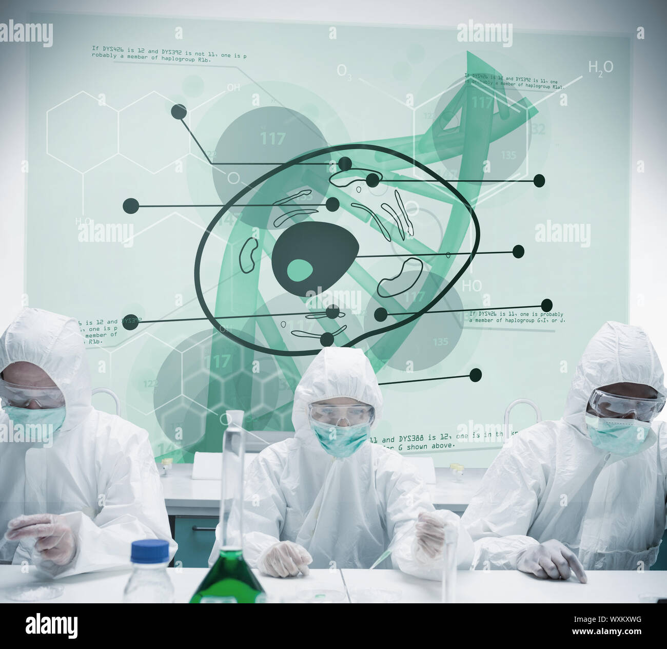 Lab workers experimenting with cell projection behind them Stock Photo