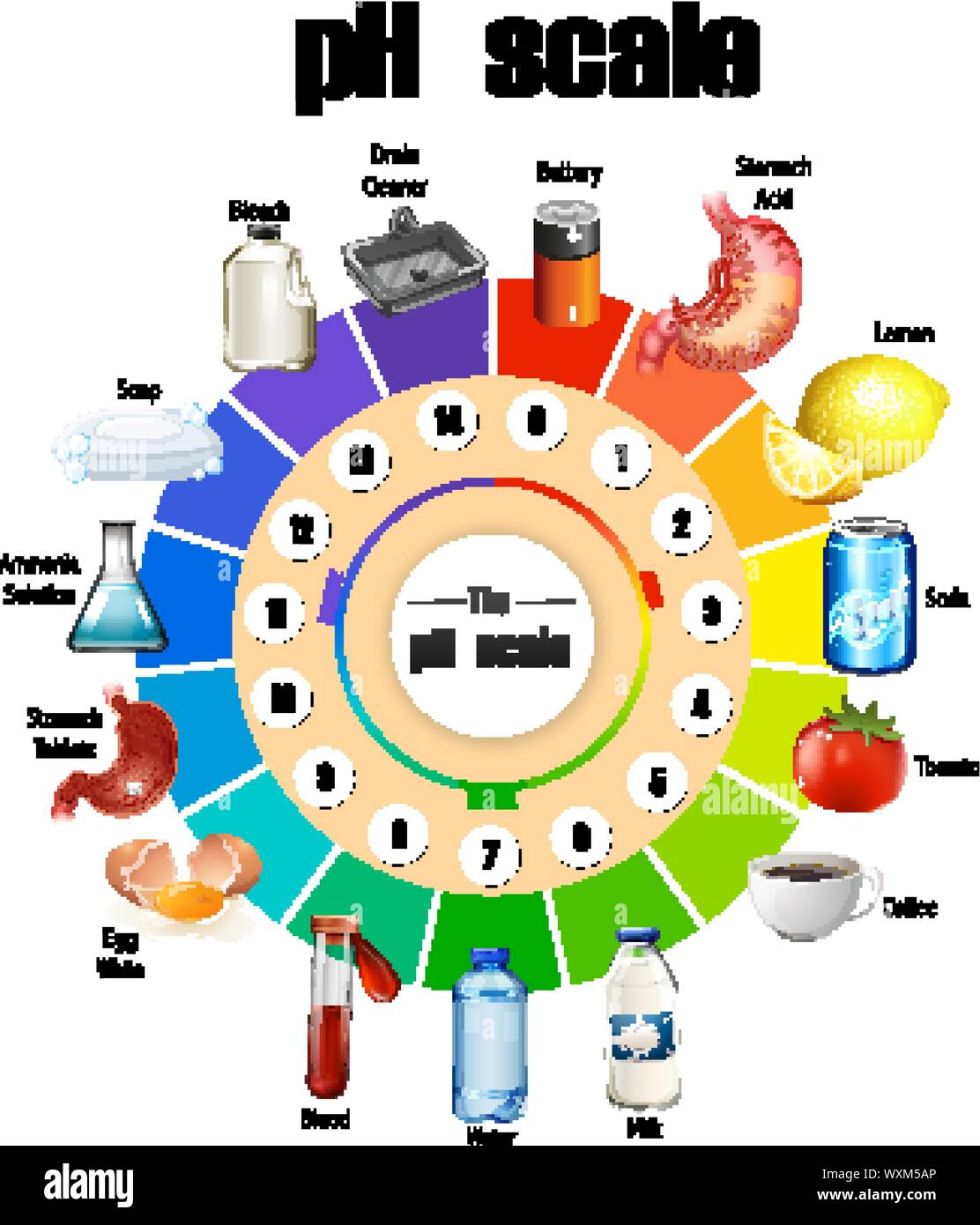 The pH scale on white background illustration Stock Vector Image & Art