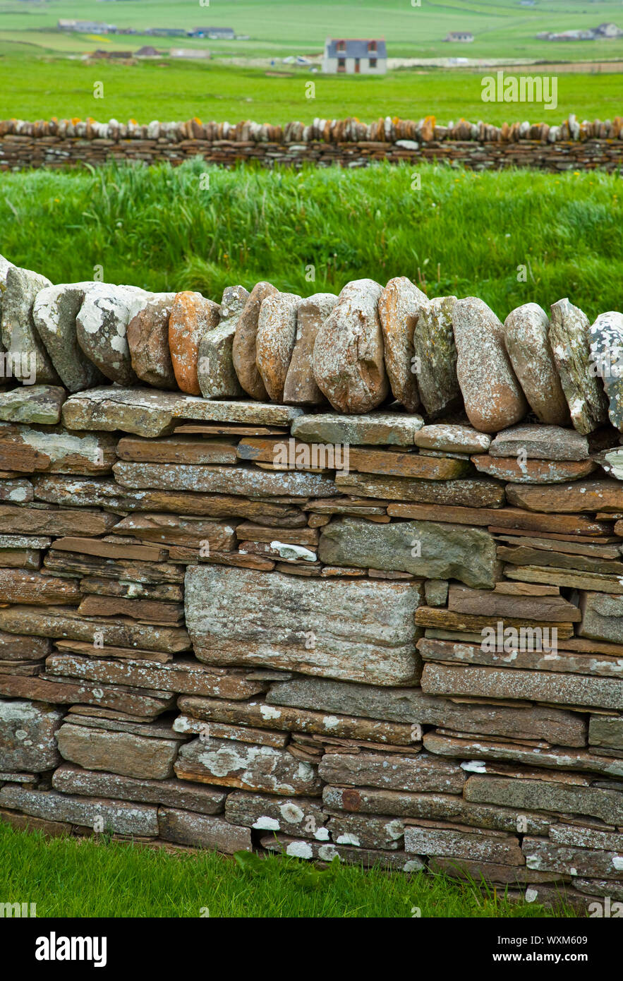 Poblado Neolitico Skara Brae, Mainland. Islas Orkney. Escocia.UK Stock Photo