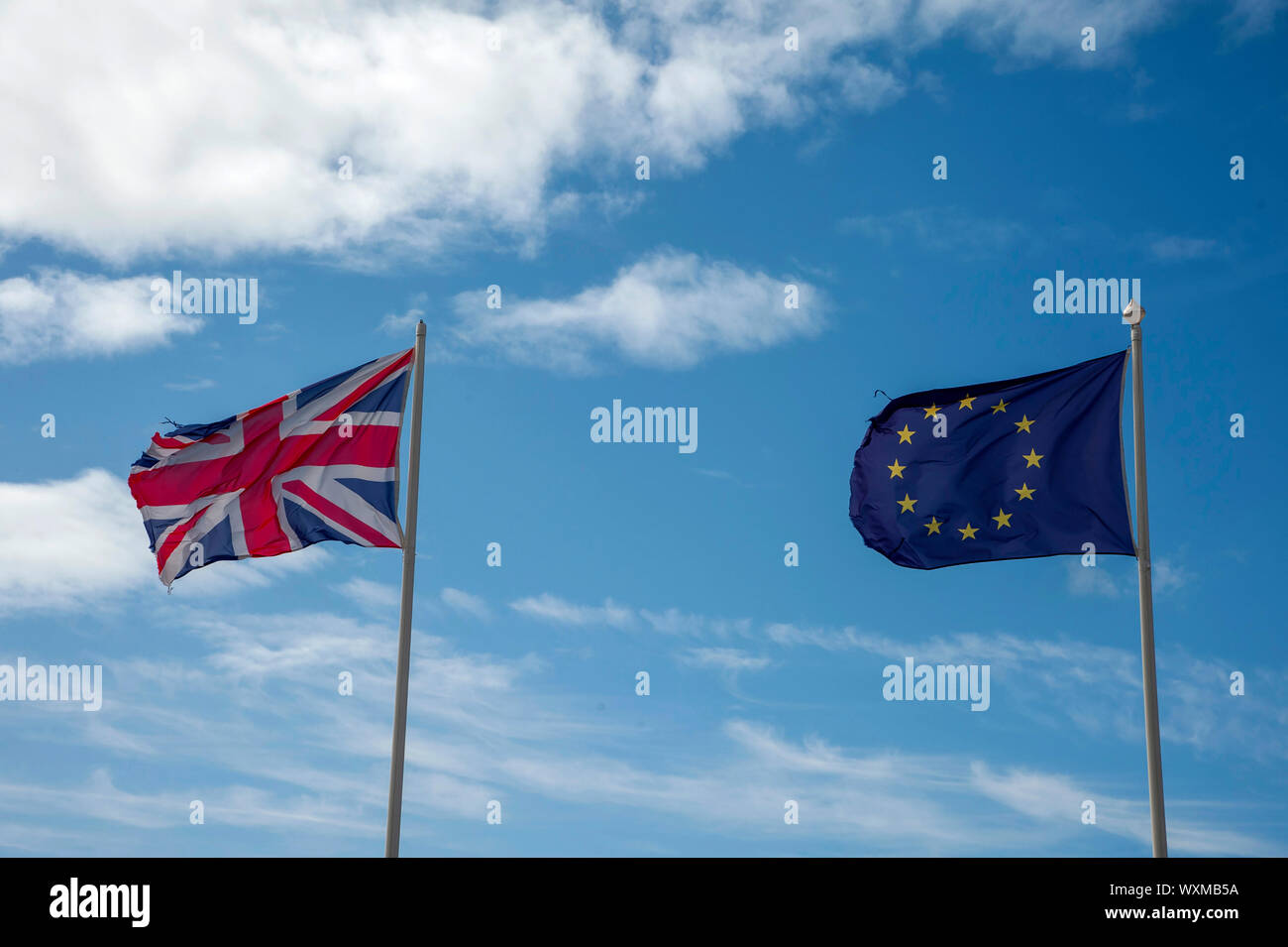 EU and European flags Stock Photo