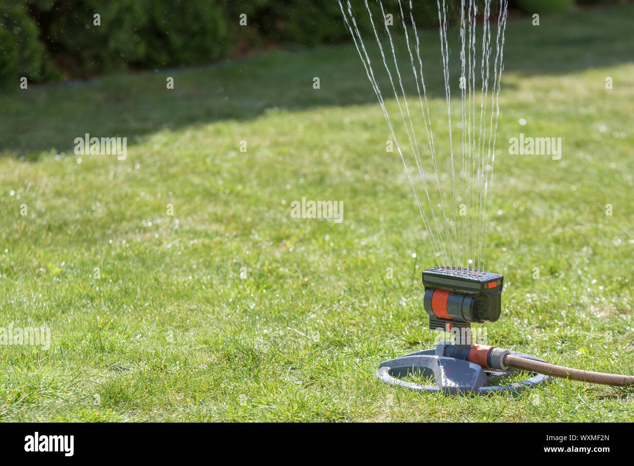 Watering the lawn with an adjustable lawn sprinkler Stock Photo