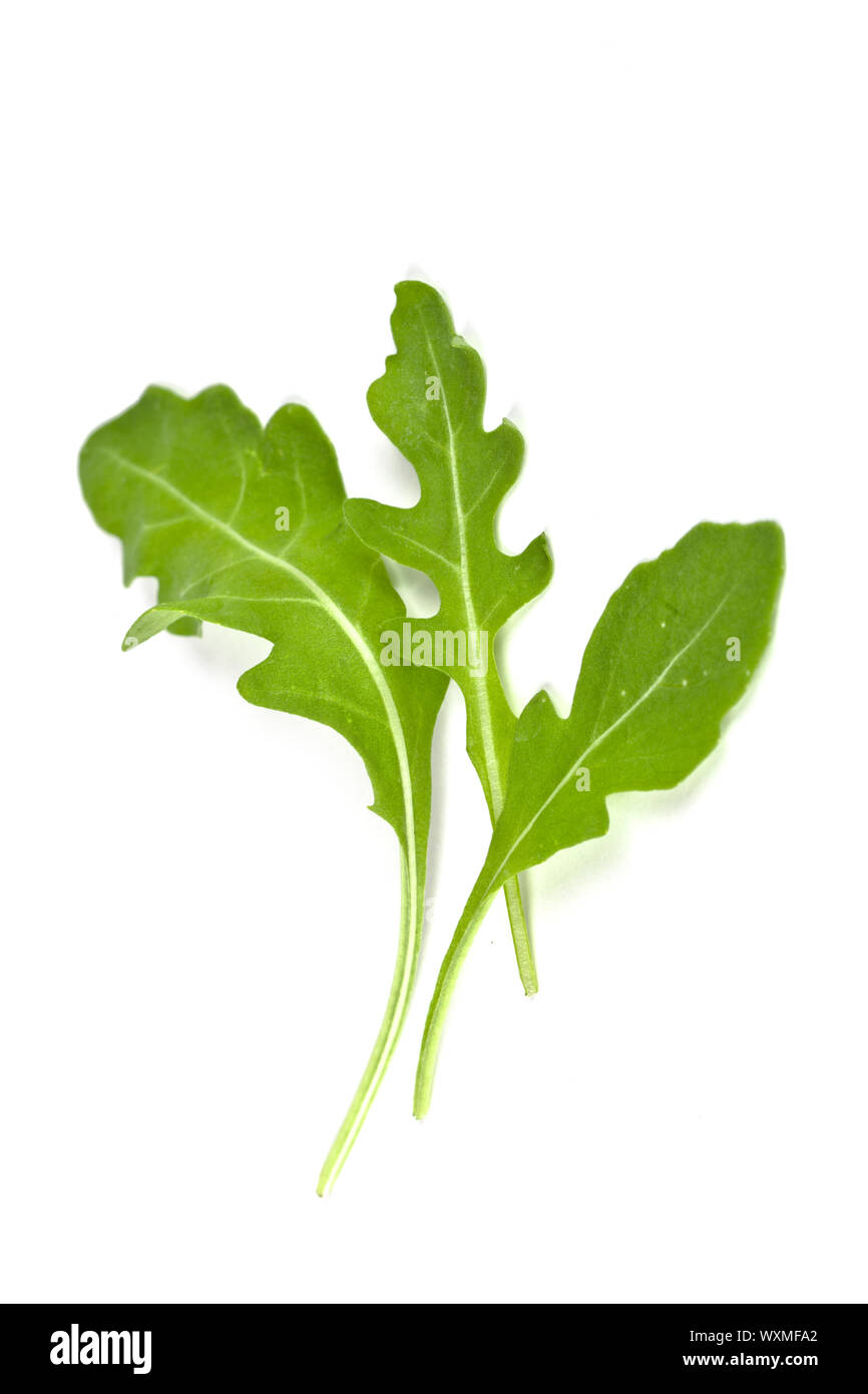 fresh rucola leaves isolated on white background Stock Photo - Alamy