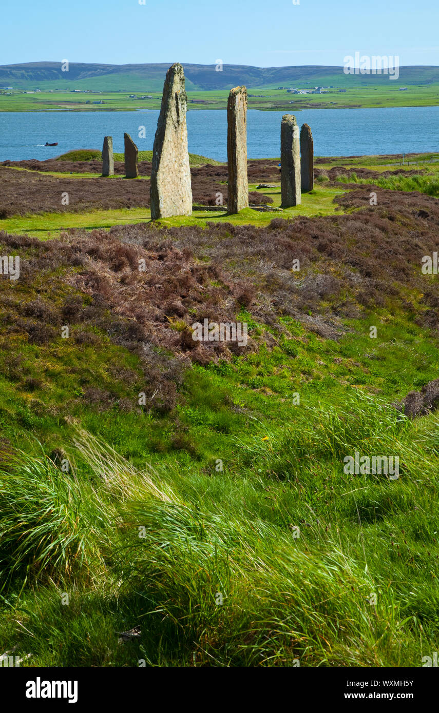 Monumento Neolítico Circulo de Brogar (Ring of Brogar), Mainland. Islas Orkney. Escocia.UK Stock Photo